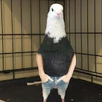 JARVIS_1996's Avatar'