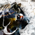 WeLuvIran's Avatar'