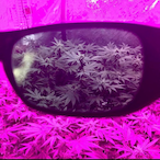 TrippScorpio97's Avatar'