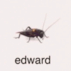Reevvvoooo's Avatar'
