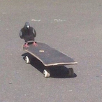 IFZ_SkylokkI's Avatar'