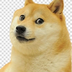 im_net's Avatar'