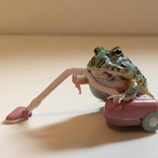 Frogogy's Avatar'