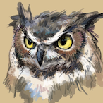 tdot_is_king's Avatar'