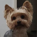 Minixxxtro's Avatar'