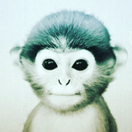 Jvnun's Avatar'