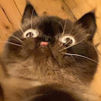 crispy_bacon.'s Avatar'