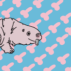 Ratskat's Avatar'