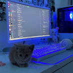 vinh.v4's Avatar'