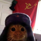 eepypurrr's Avatar'