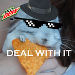 H9KOOH's Avatar'