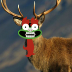 Nxvazs 4167's Avatar'