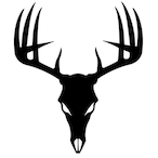 Nezzy41's Avatar'