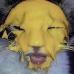 TimmyNipples's Avatar'
