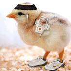 CoZdon's Avatar'