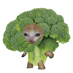 ErrorRB's Avatar'