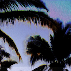 Pipos_Mofelzer's Avatar'