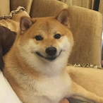 Drraugr's Avatar'