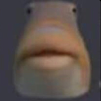 N.EG_OR's Avatar'