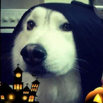 BellalsBad's Avatar'