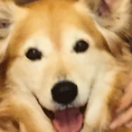 sladewilson890's Avatar'