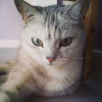 Mobyrr's Avatar'
