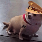 LuvForpiIIs's Avatar'