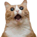 FakeCats's Avatar'