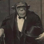HappyMonkeBanan's Avatar'