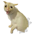 Iddityllon's Avatar'