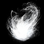 SoulSlayer_360's Avatar'