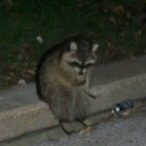 CLETUSmaFETUS's Avatar'