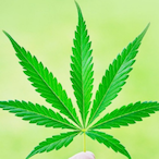 beststrike12's Avatar'