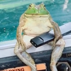 UnicornPis's Avatar'