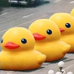 squifyduck's Avatar'