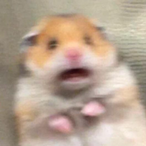 L.o.p.e.s.'s Avatar'