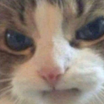 Scrum-tit714's Avatar'