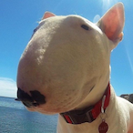 CrimsonCake's Avatar