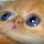 htsyhbt.'s Avatar'
