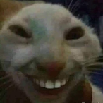 Octavio.LT's Avatar'