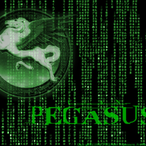 TheKnightPEG's Avatar