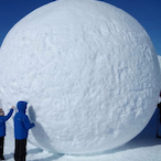 TheProSnowball's Avatar'