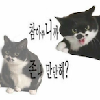 Korean.Kimchi's Avatar'