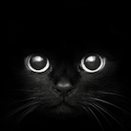 TenCart4545's Avatar'