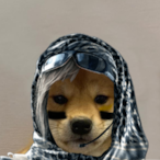 Wild_Roguez's Avatar'