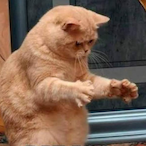 doudouboub's Avatar'