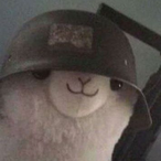 Mega_Cat_'s Avatar'