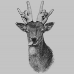 Free elo8087's Avatar'