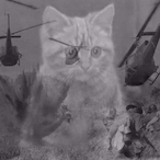 ZillyWillyNilly's Avatar'