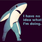 GotItFromEbay's Avatar